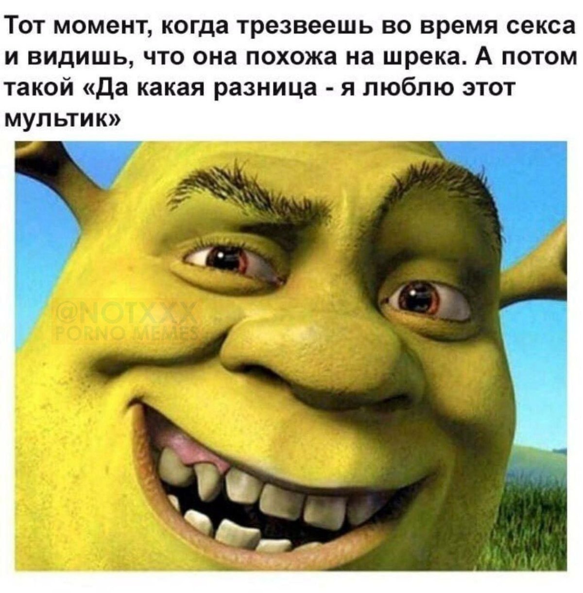 Шрек Шрек