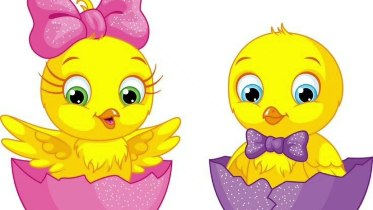 Эмблема цыпленок