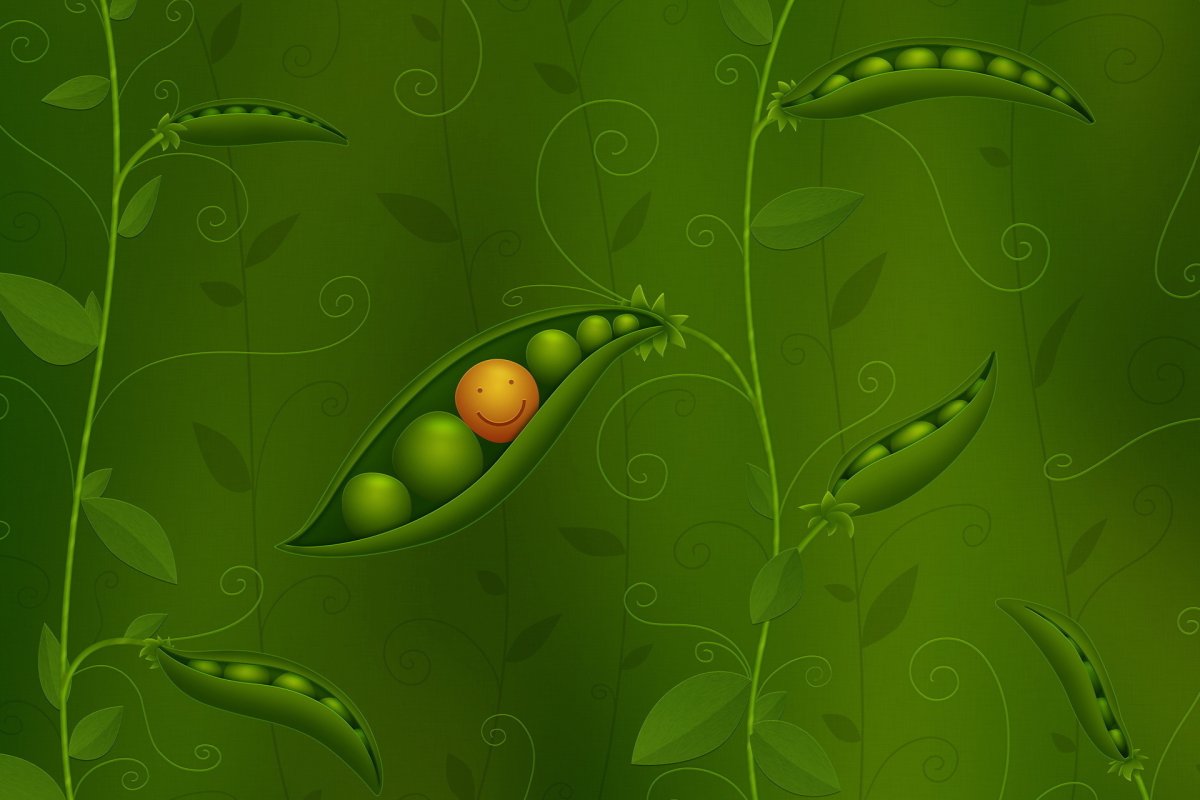 Горох иллюстрация