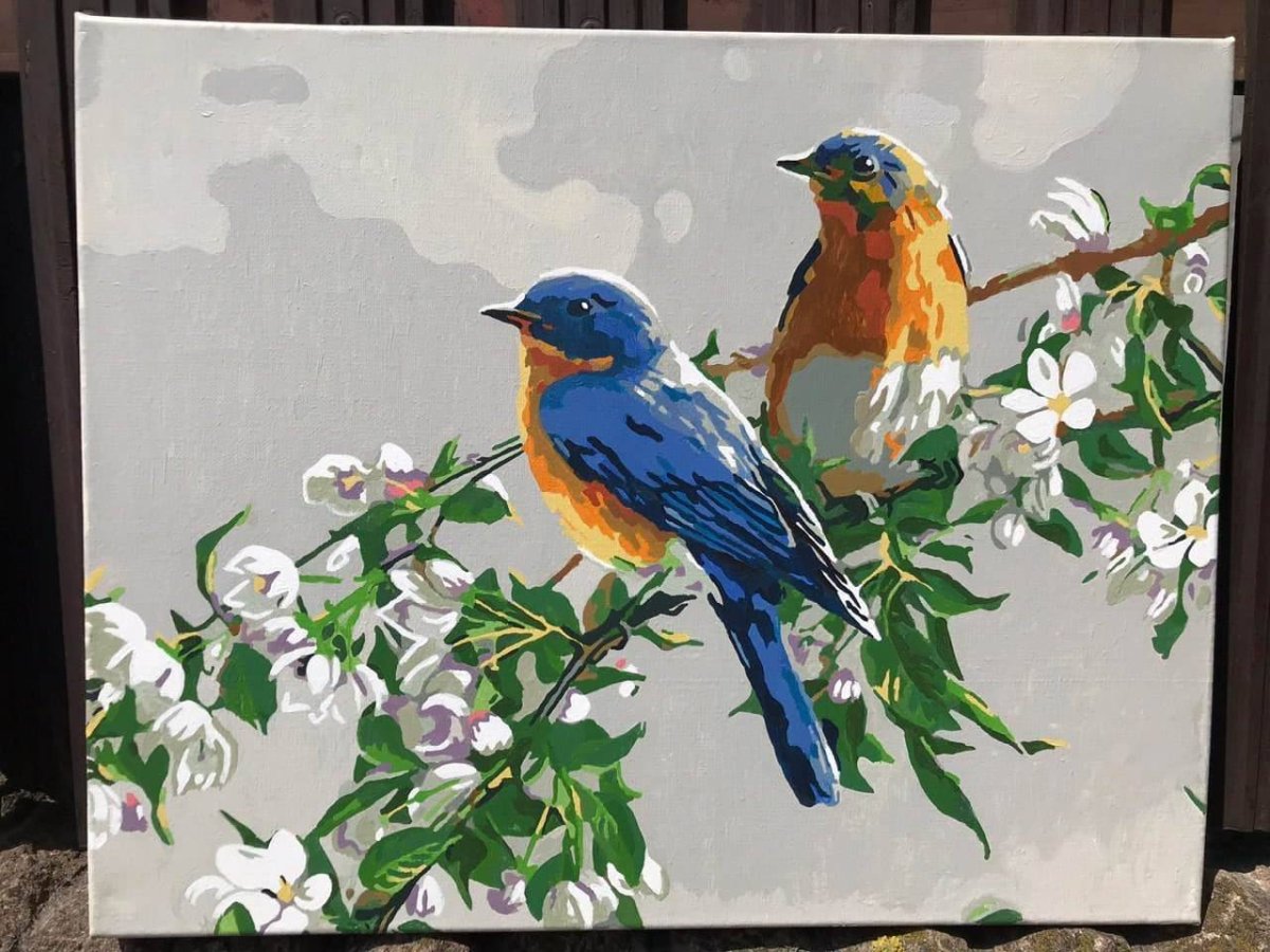 Рисование по номерам птицы