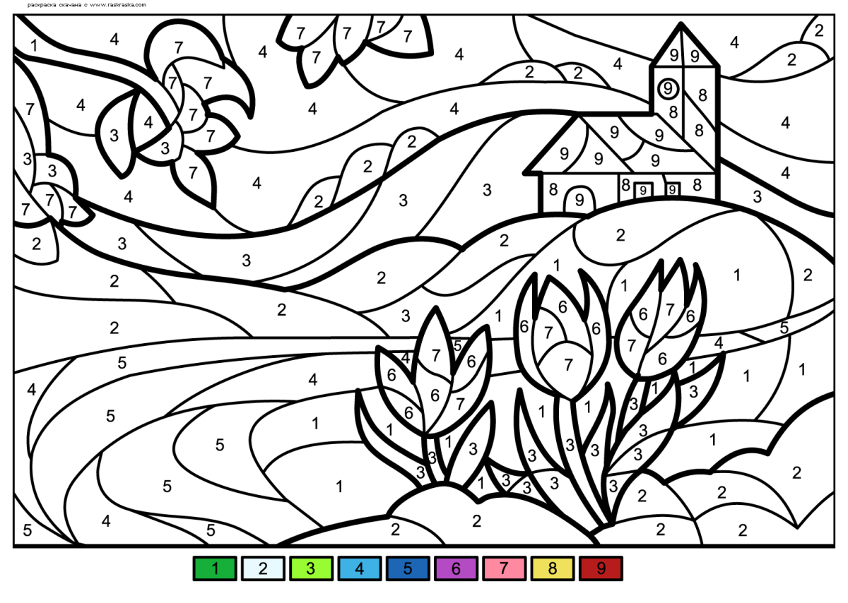 Раскраска по номерам