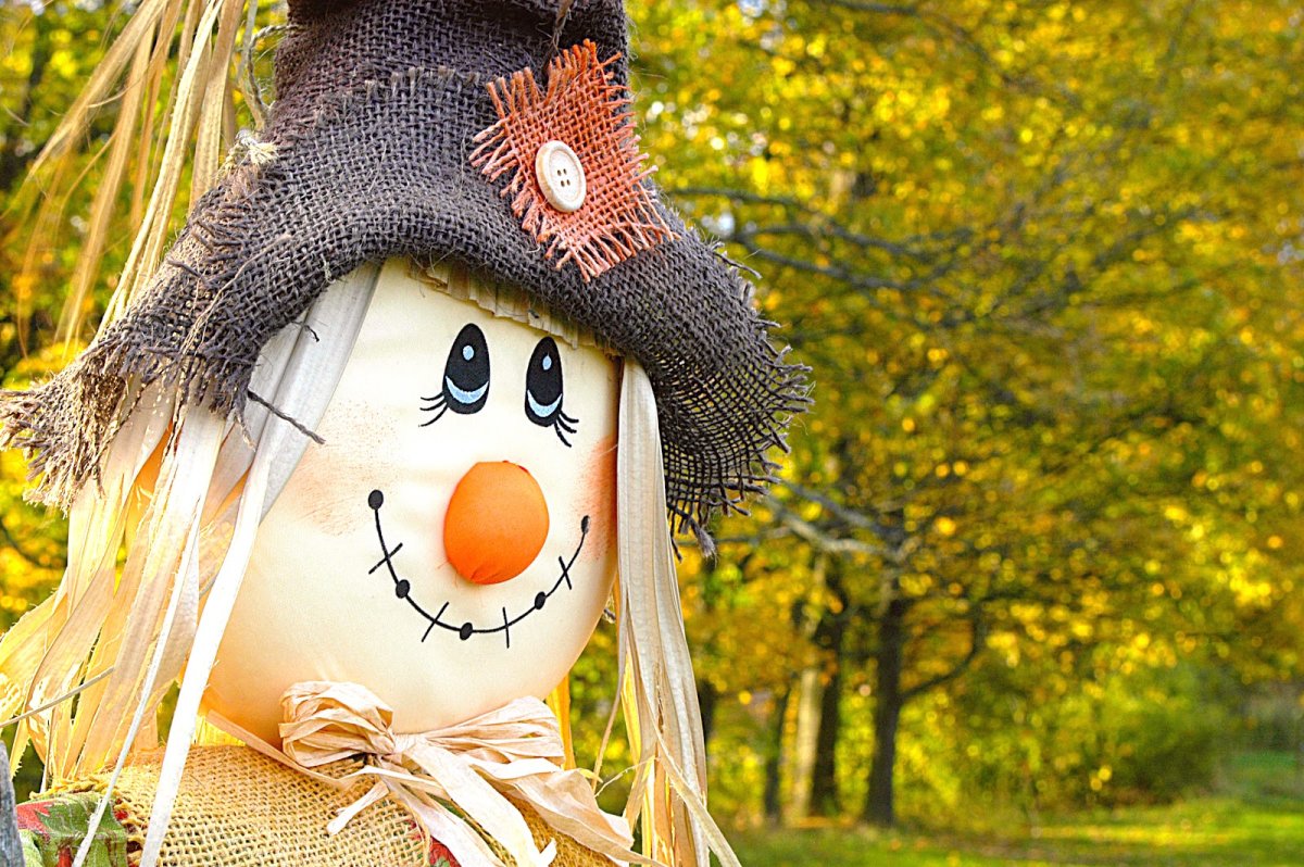 Пугало огородное