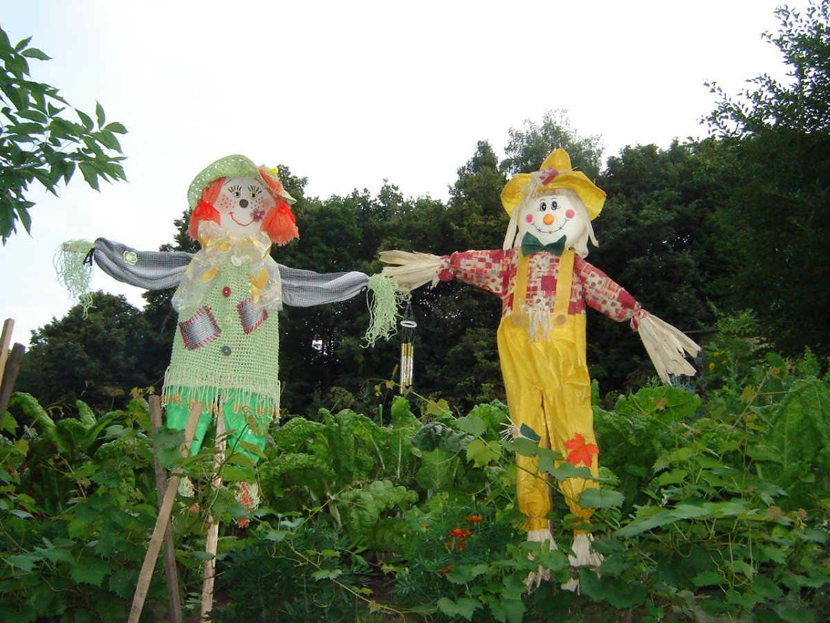 Пугало огородное