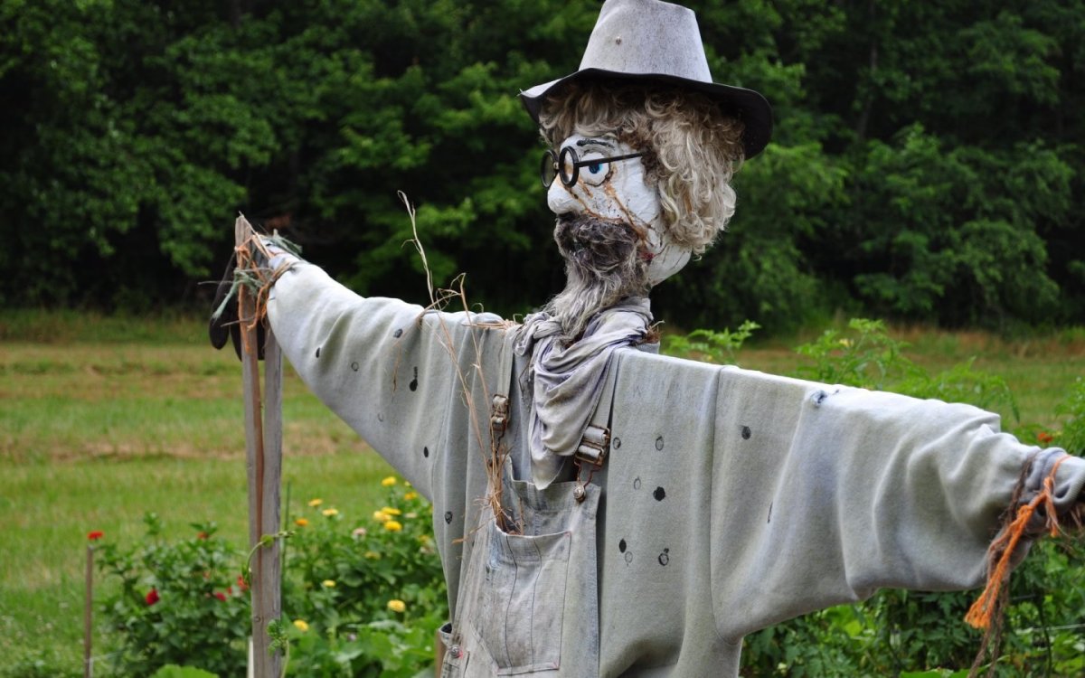 Пугало огородное