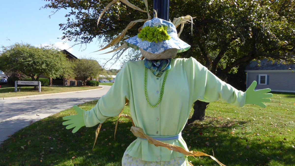 Костюм огородного пугала