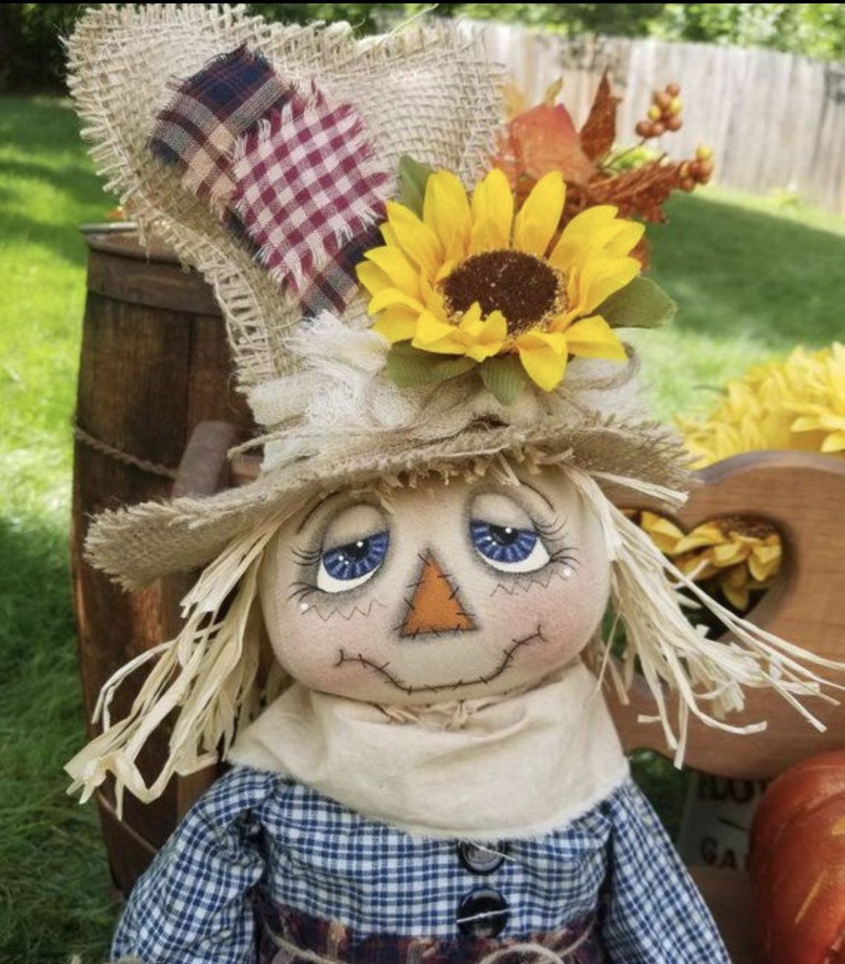 Оригинальные огородные пугала