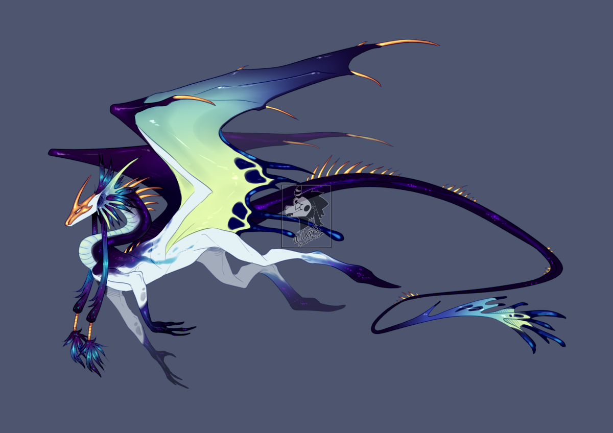 Драконы ВИВЕРНЫ адопты