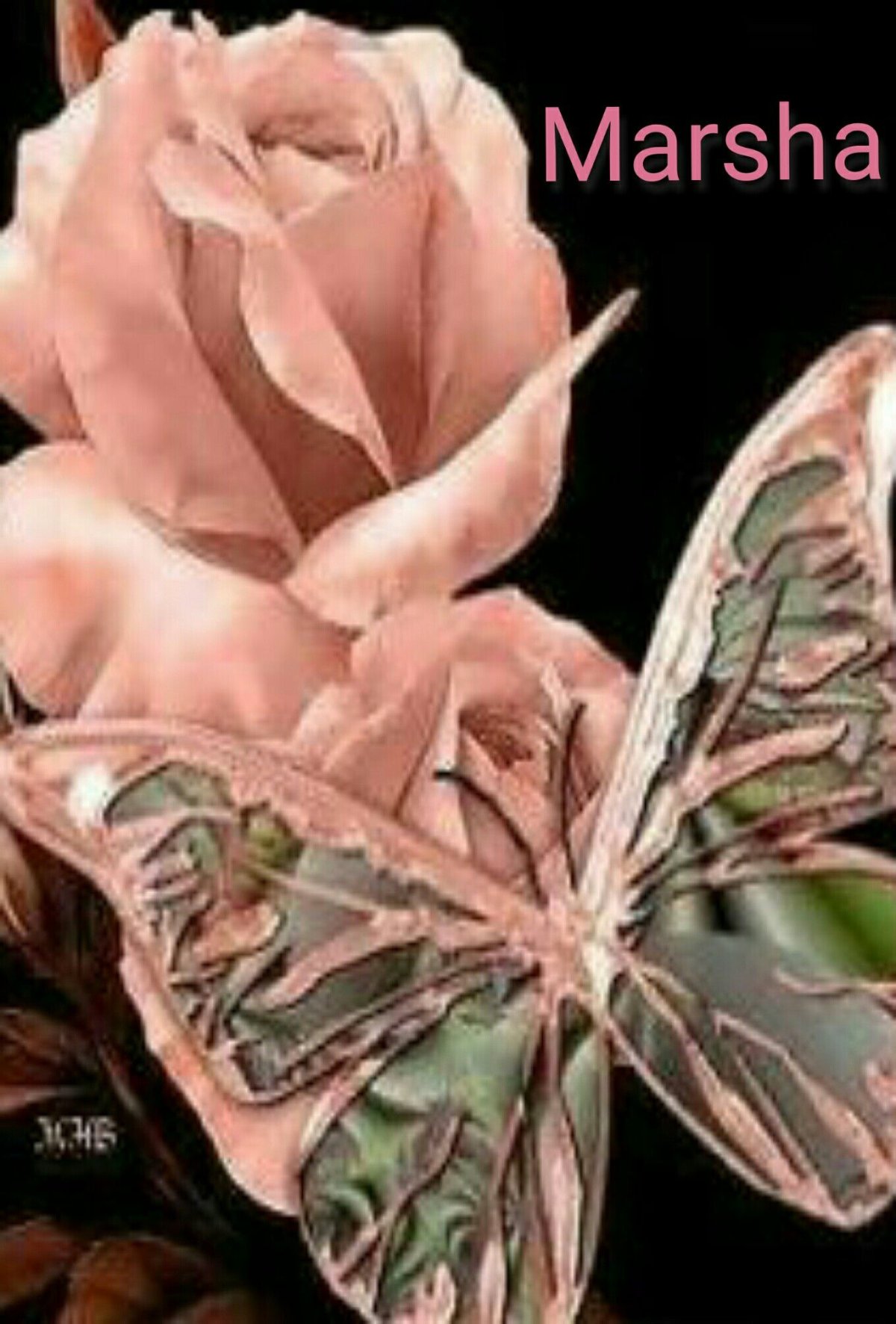 Мерцающие. Розы. И. бабочки.