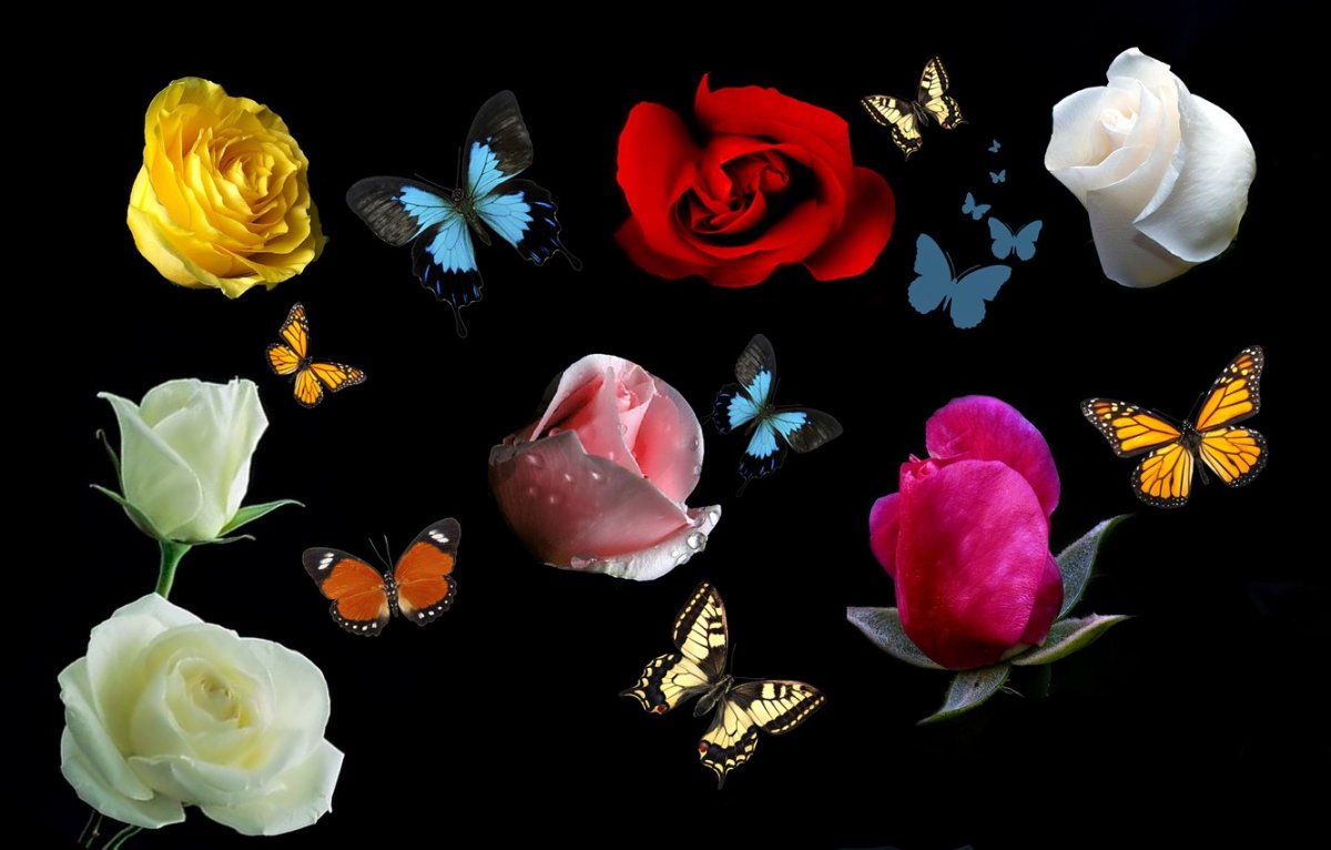 Цветы коллаж