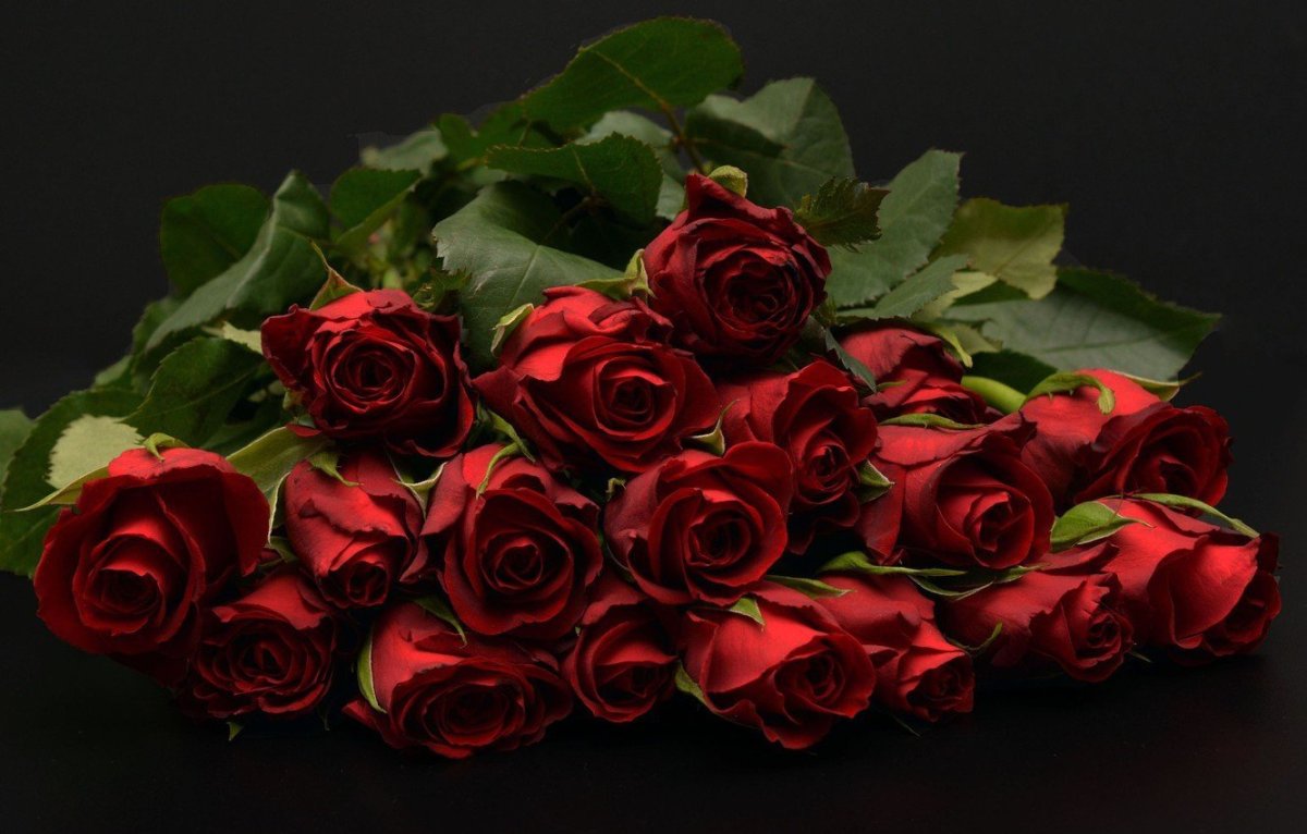Букет красных роз