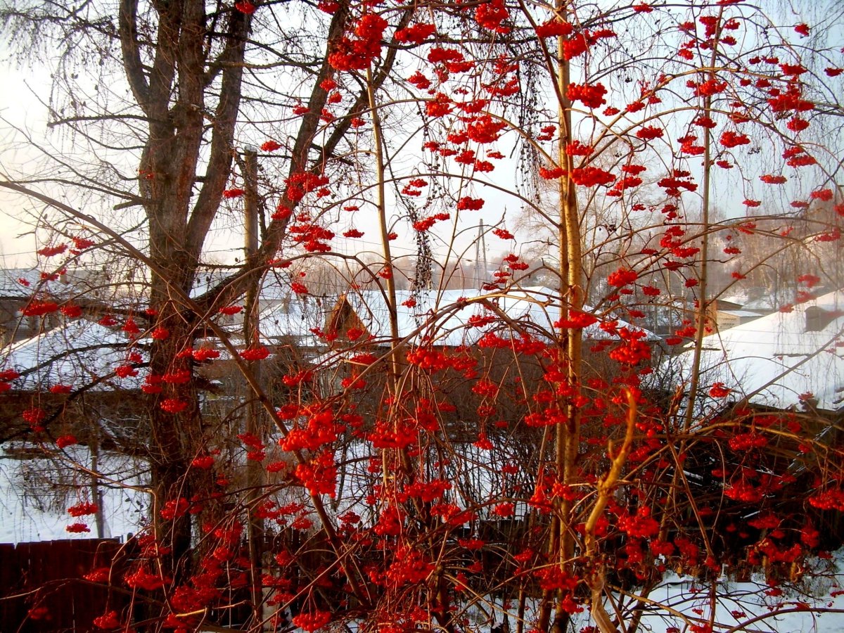 Поздняя осень