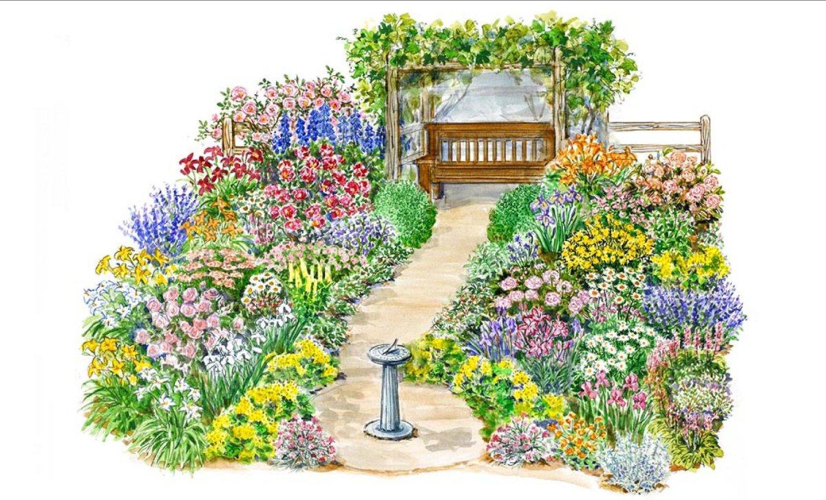 Скетчи миксбордеров