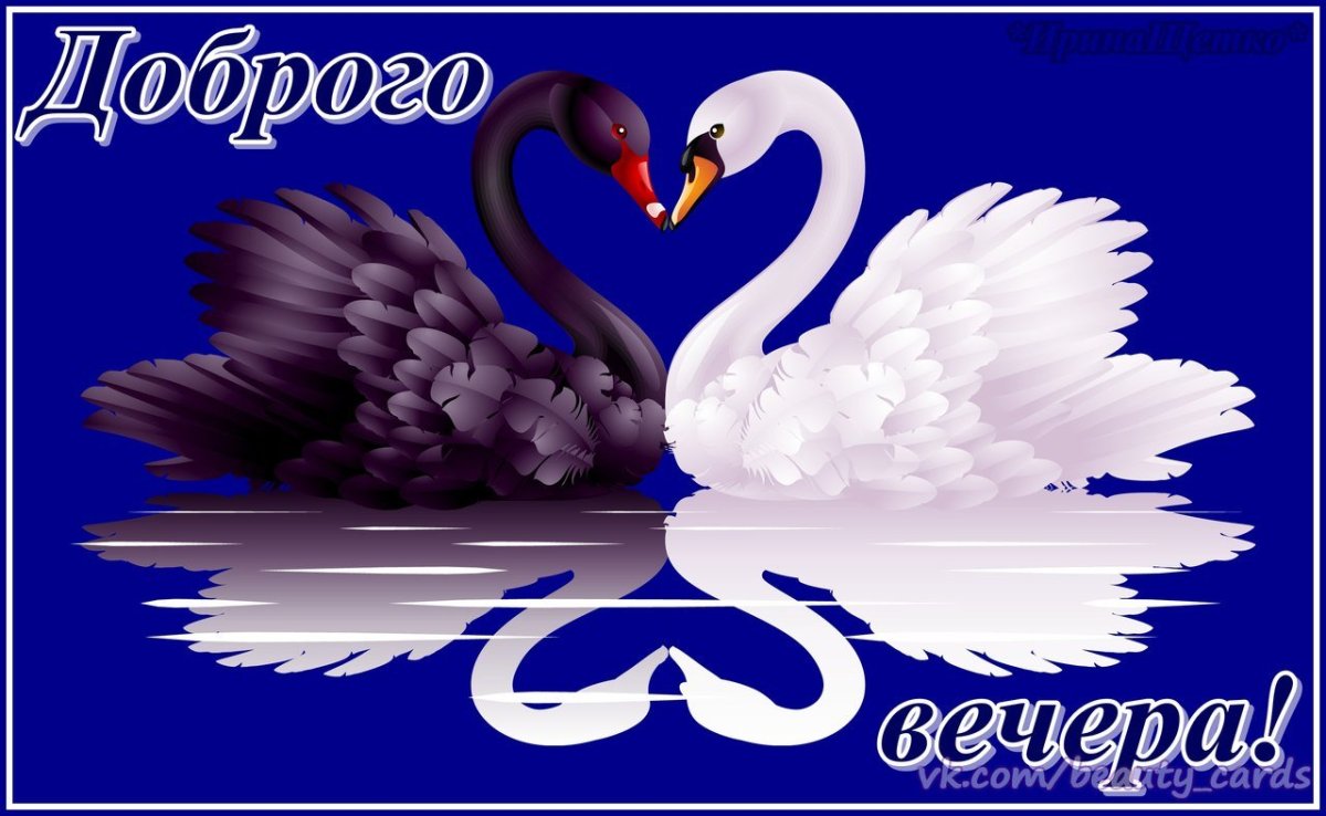 Добрый вечер милая