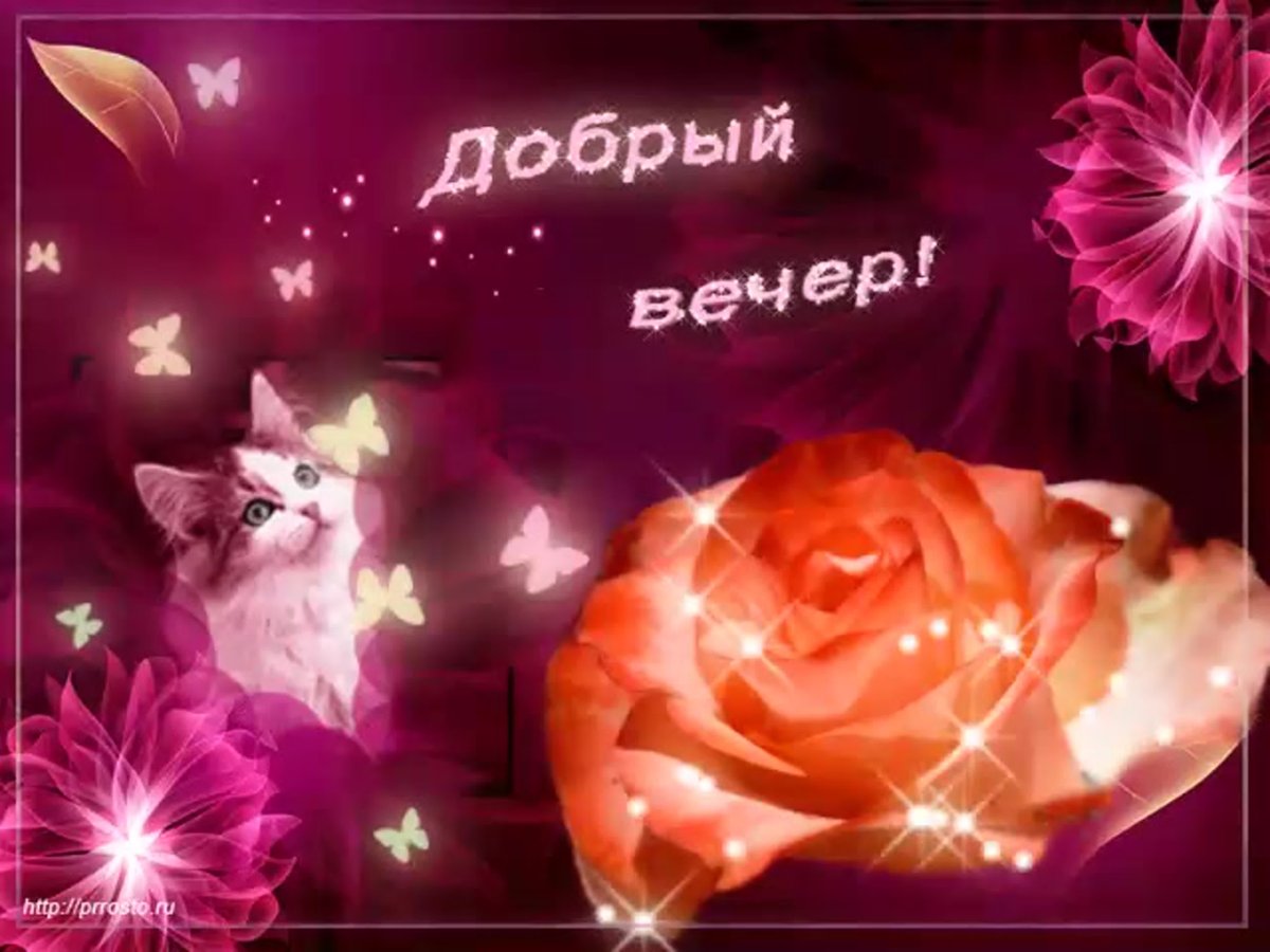 Добрый вечер любимая