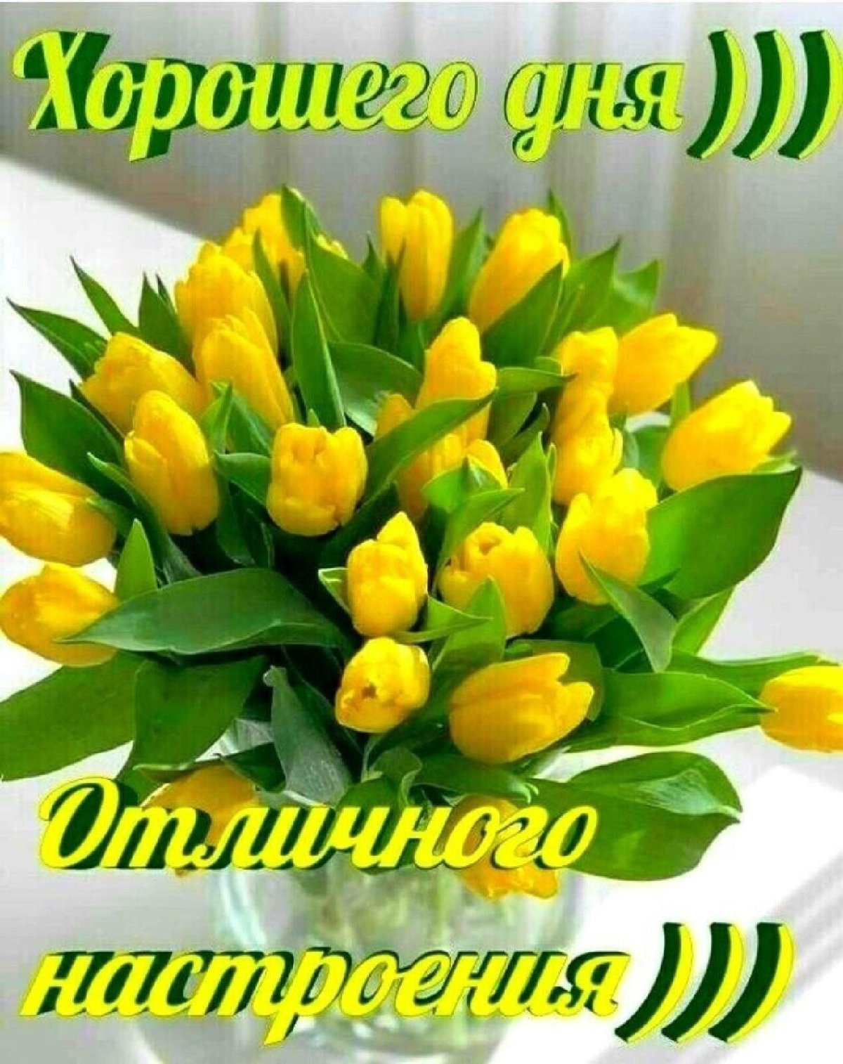 Открытки с желтыми тюльпанами