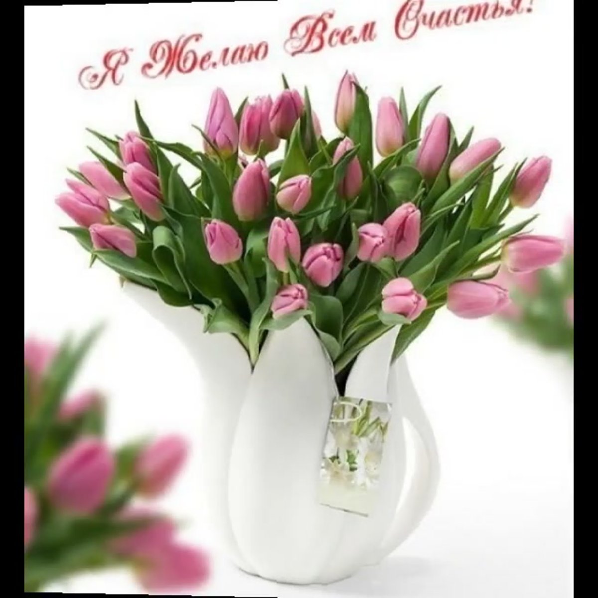 Хорошего дня тюльпаны