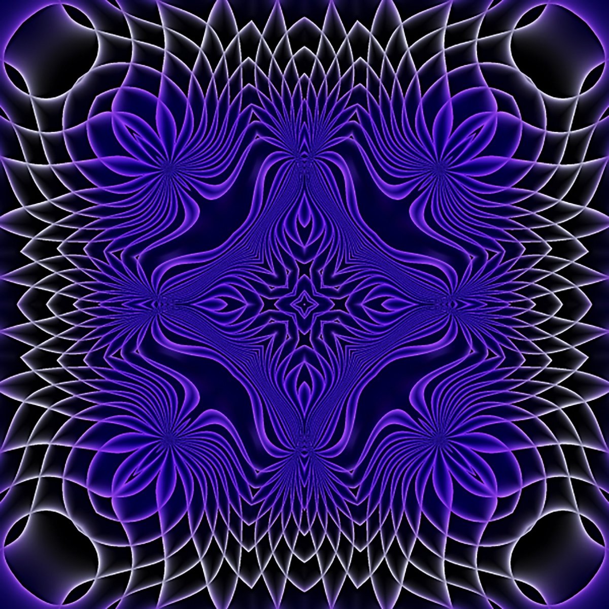 Взгляд кошки