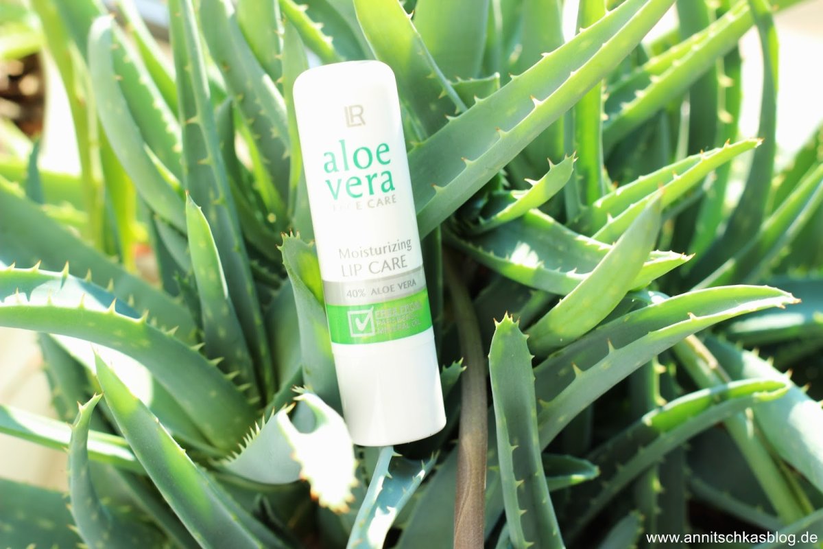 Алоэ Вера ЛР