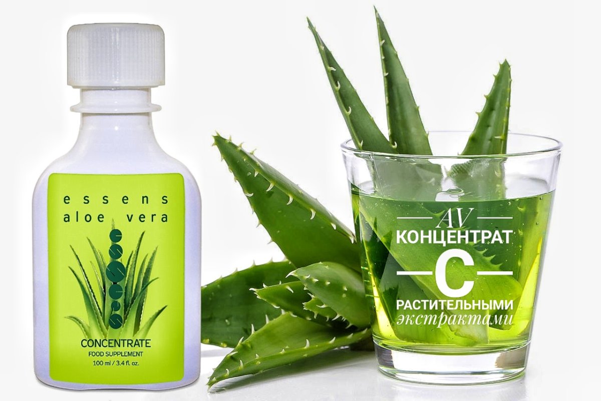 Алоэ Вера листик