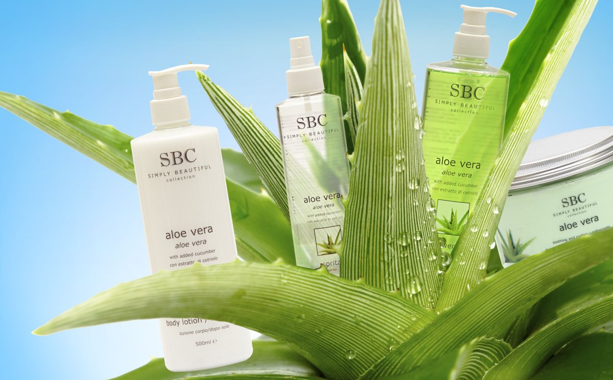 Алоэ для фоторамки