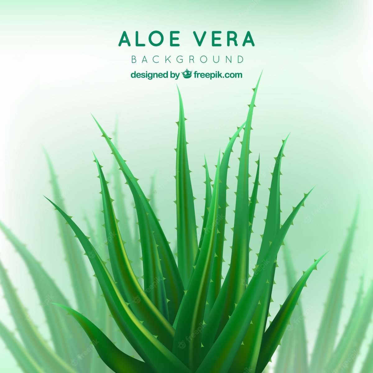 Форевер алоэ Вера хит крем