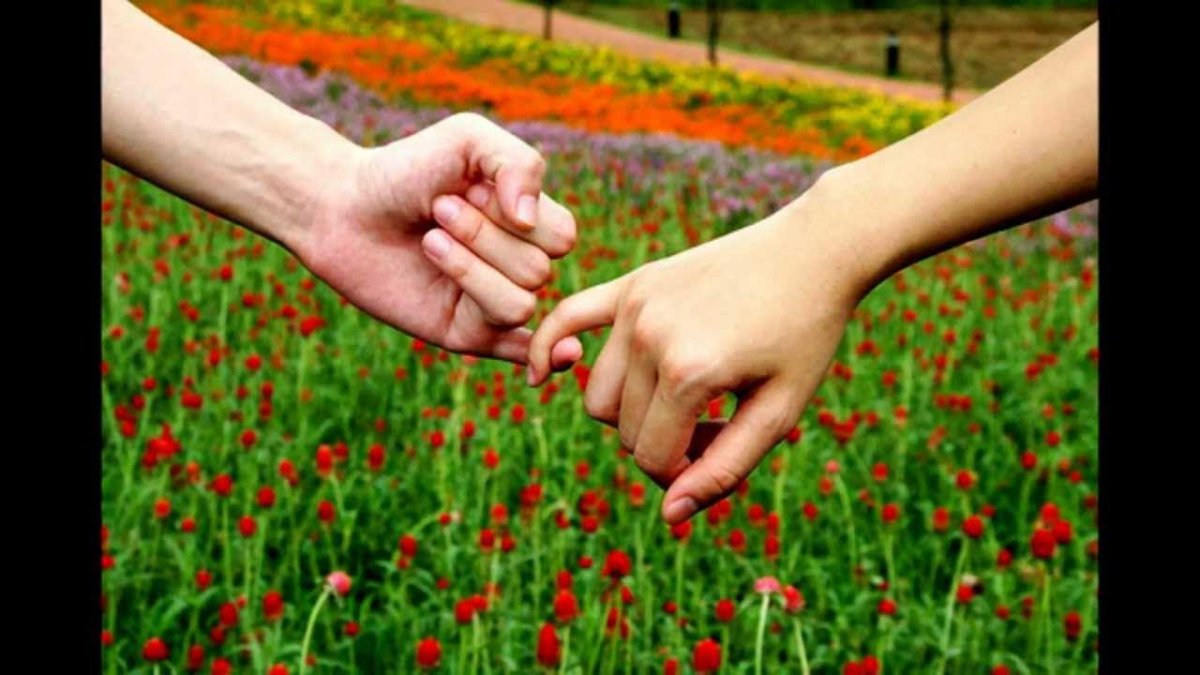 Примирение картинки