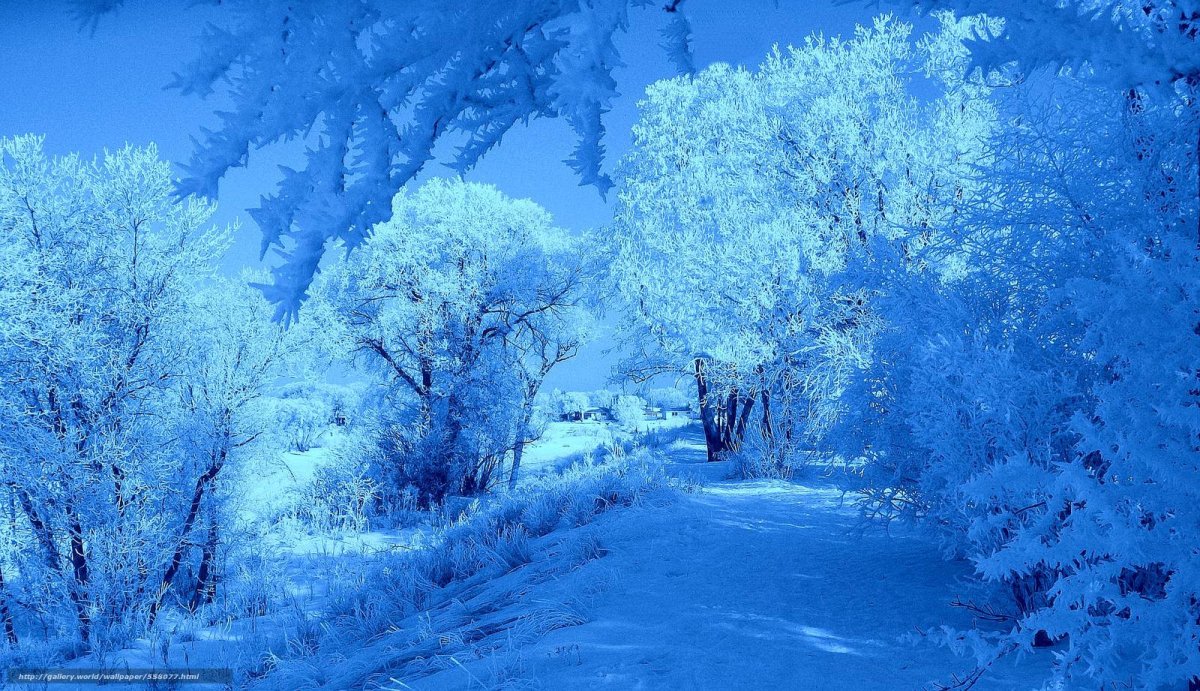 Зимний пейзаж