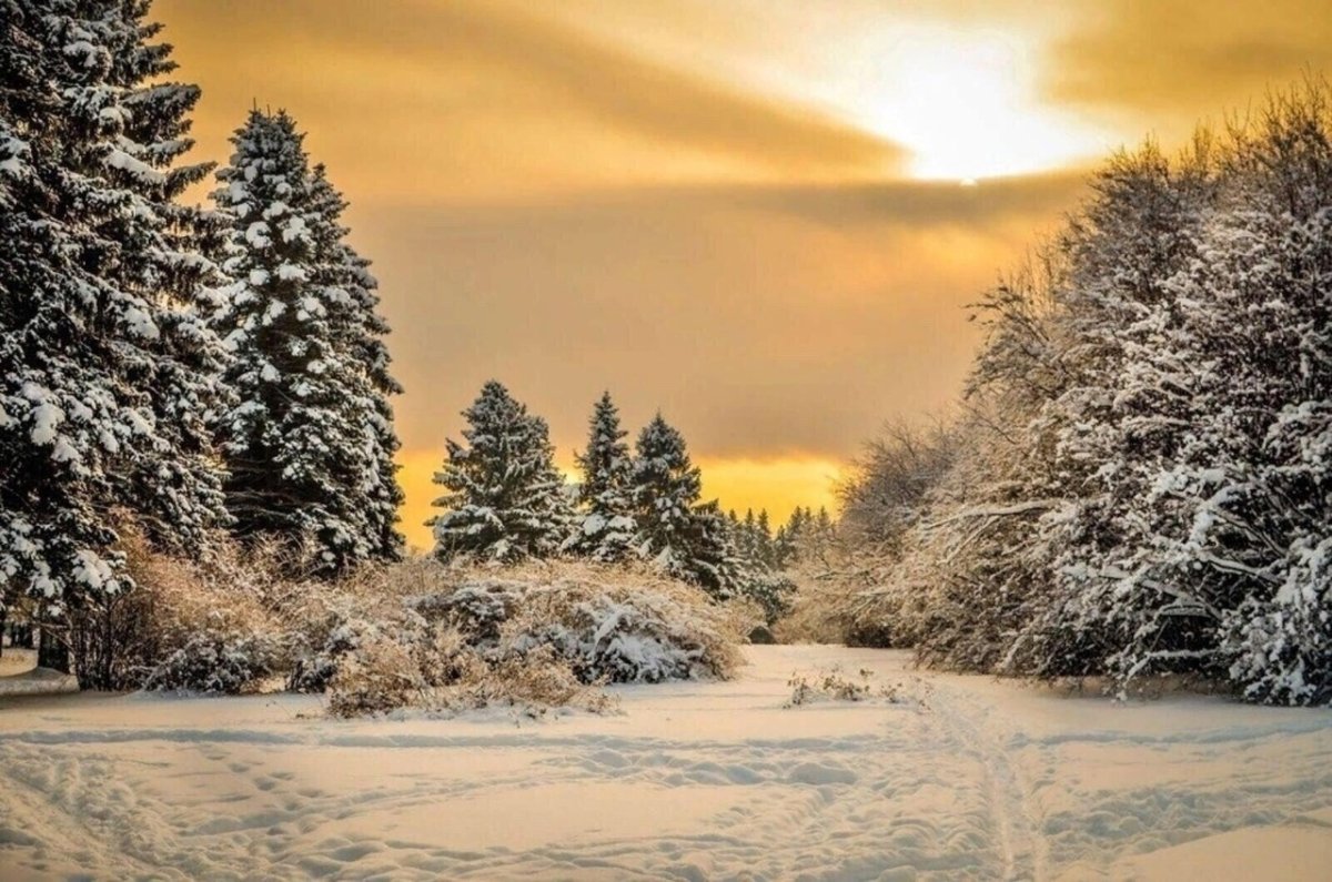 Очень красивый Кадр с зимы