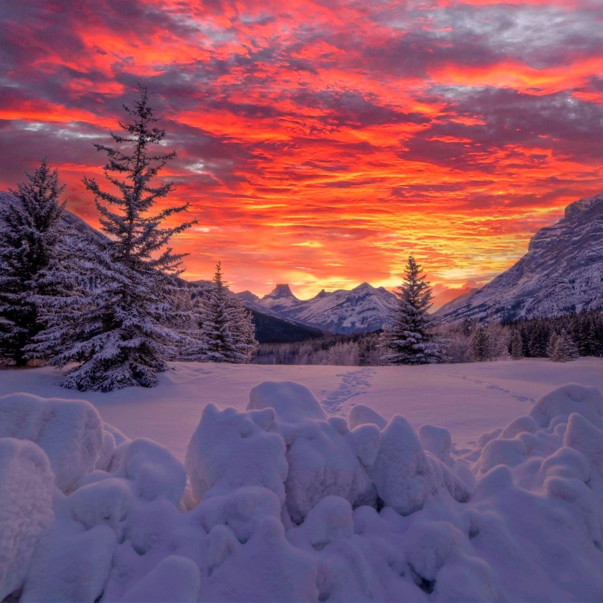 Фото зимняя сказка природы