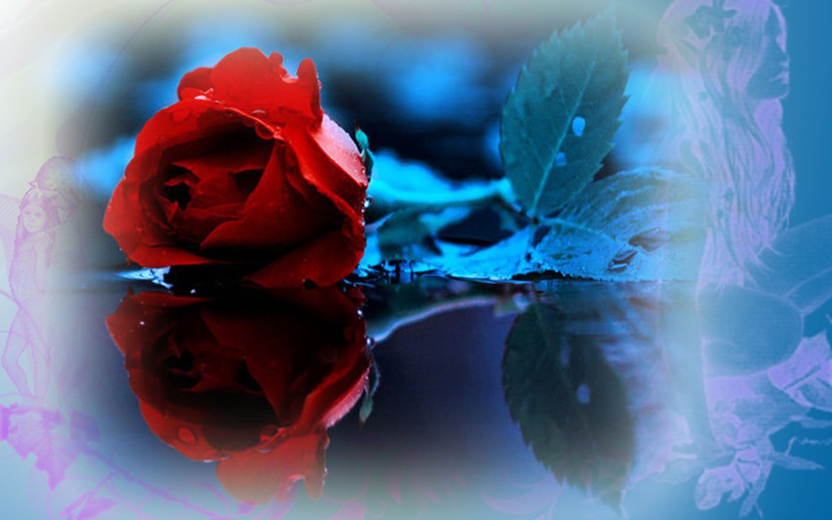 Международный день спасибо