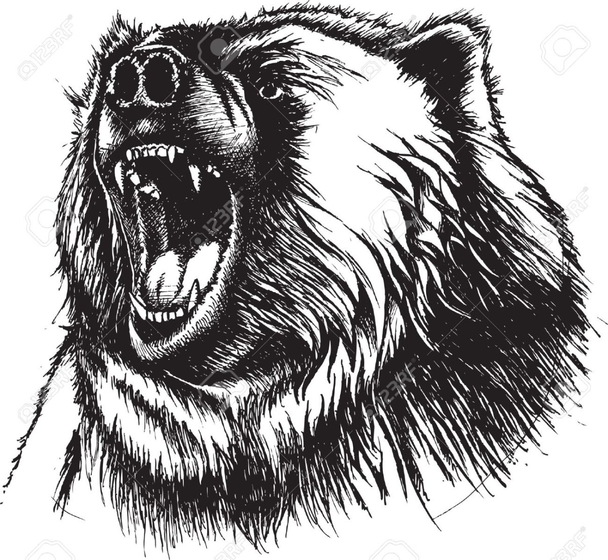 Медведь оскал арт