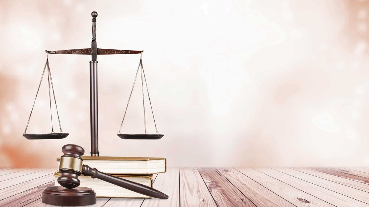 Адвокат профессия для школьников