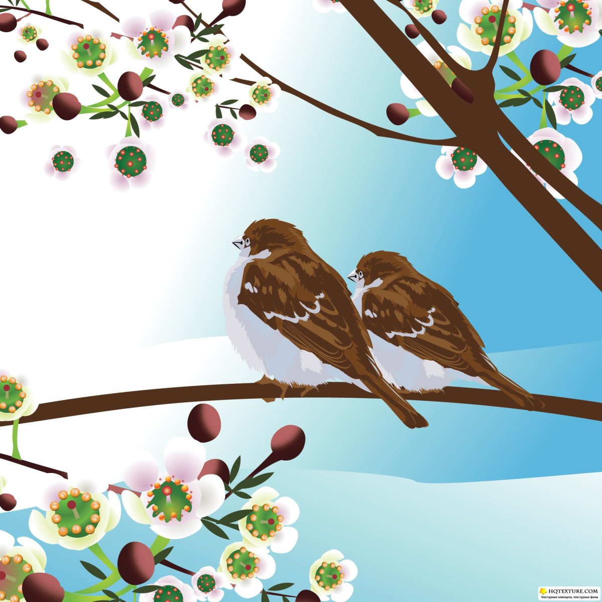 Ранняя Весна утро птицы