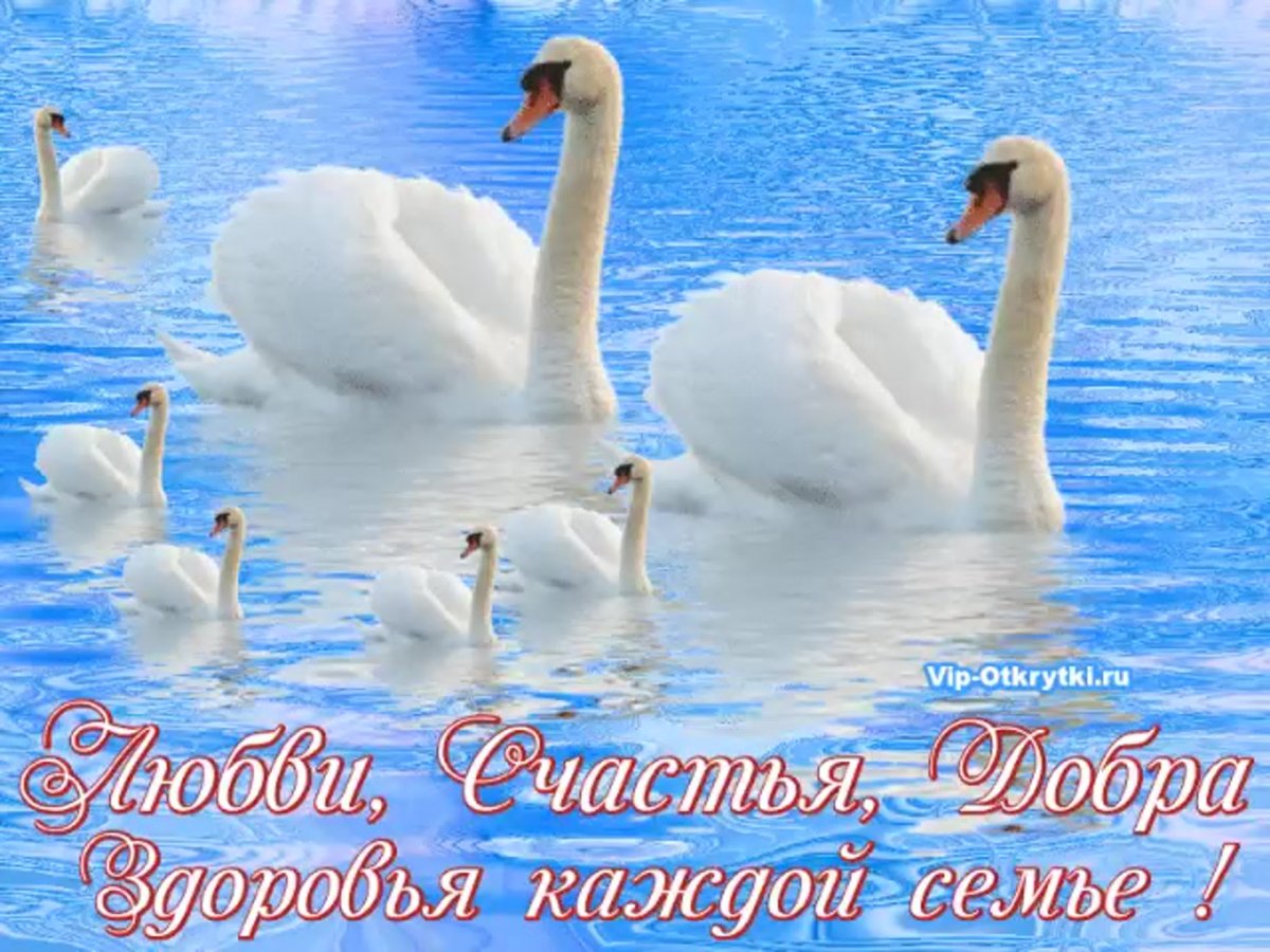 Пожелания семейного счастья