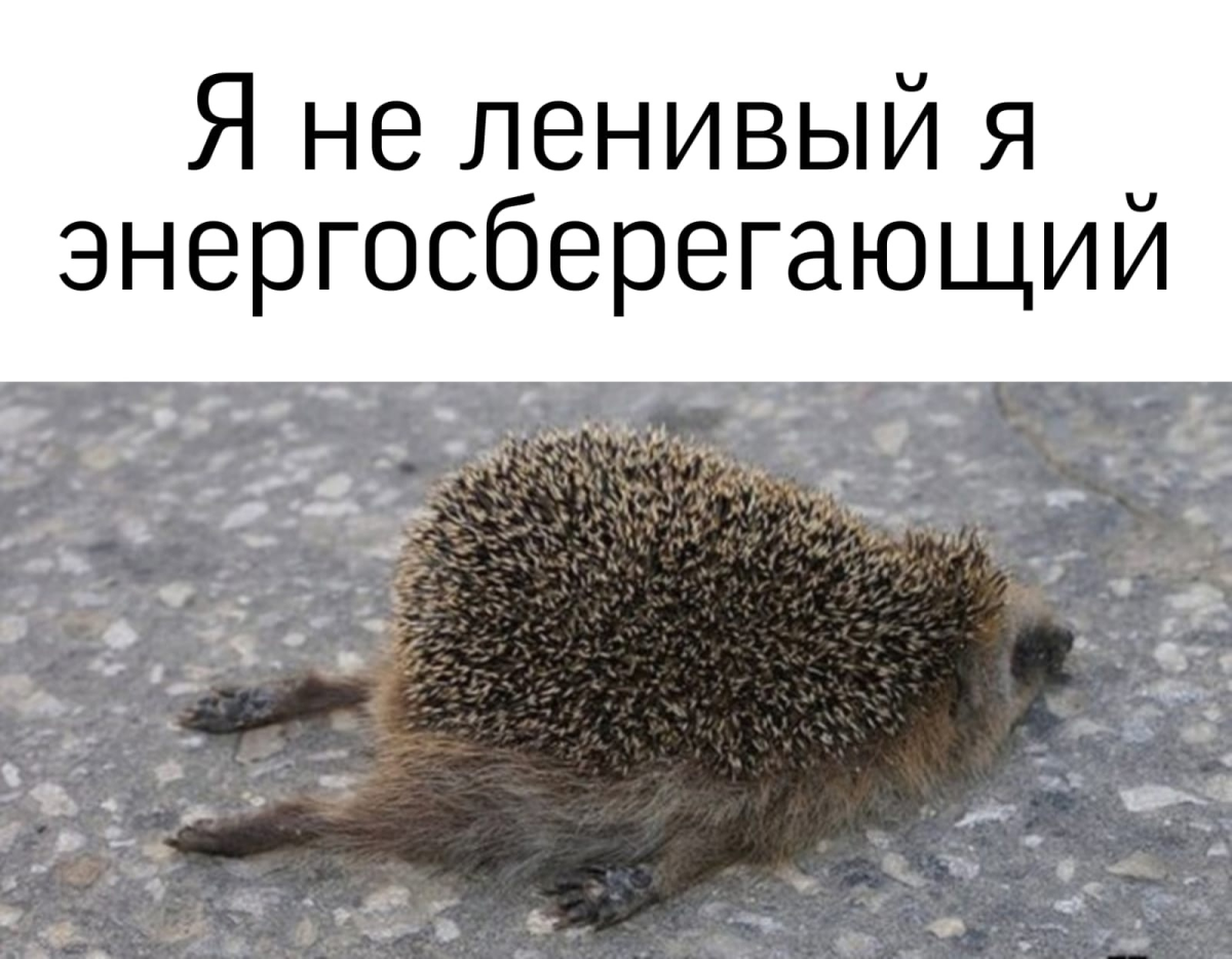 Ежик устал на работе