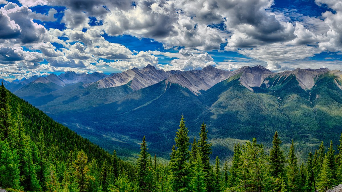 Природа горы лес