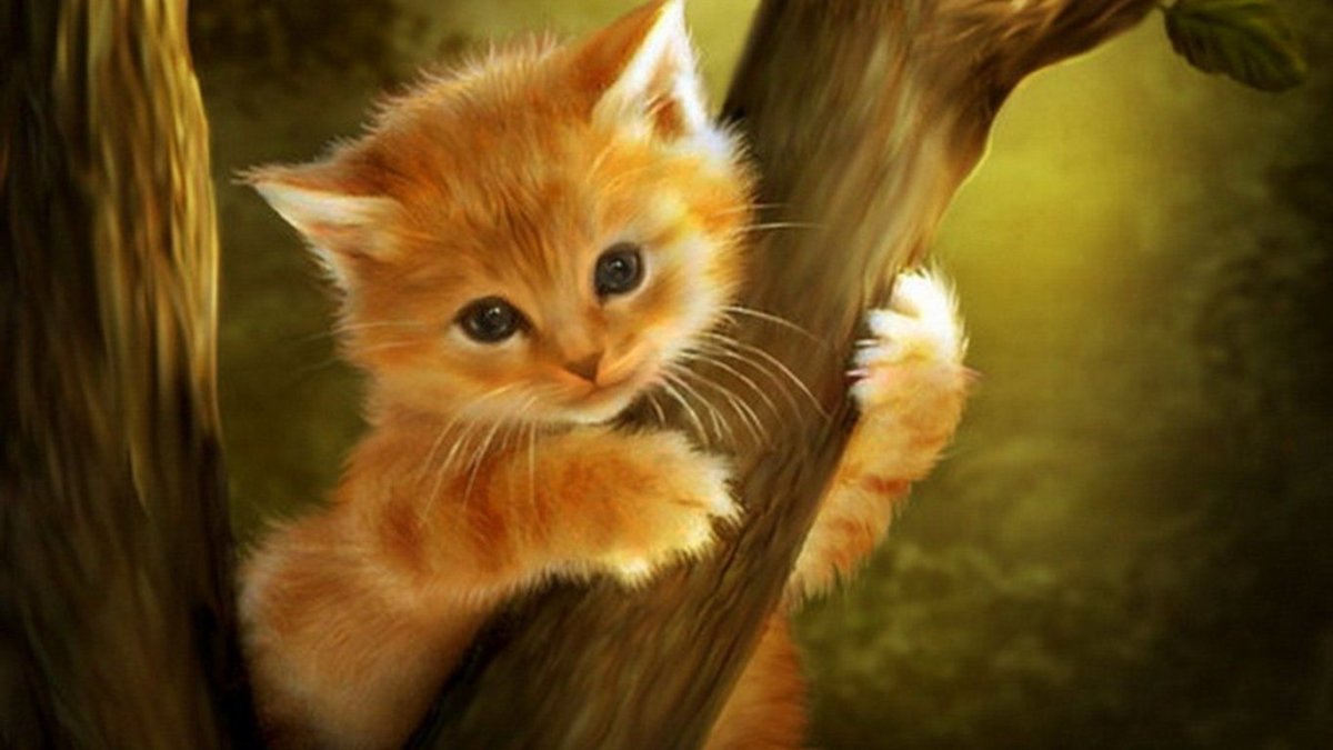 Аниме котенок рыжий