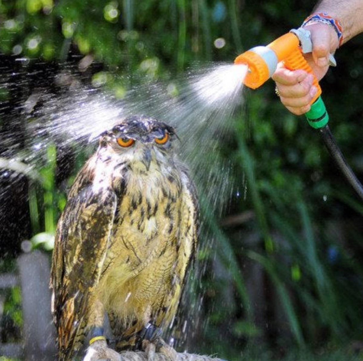 Единственный способ выжить в мире идиотов