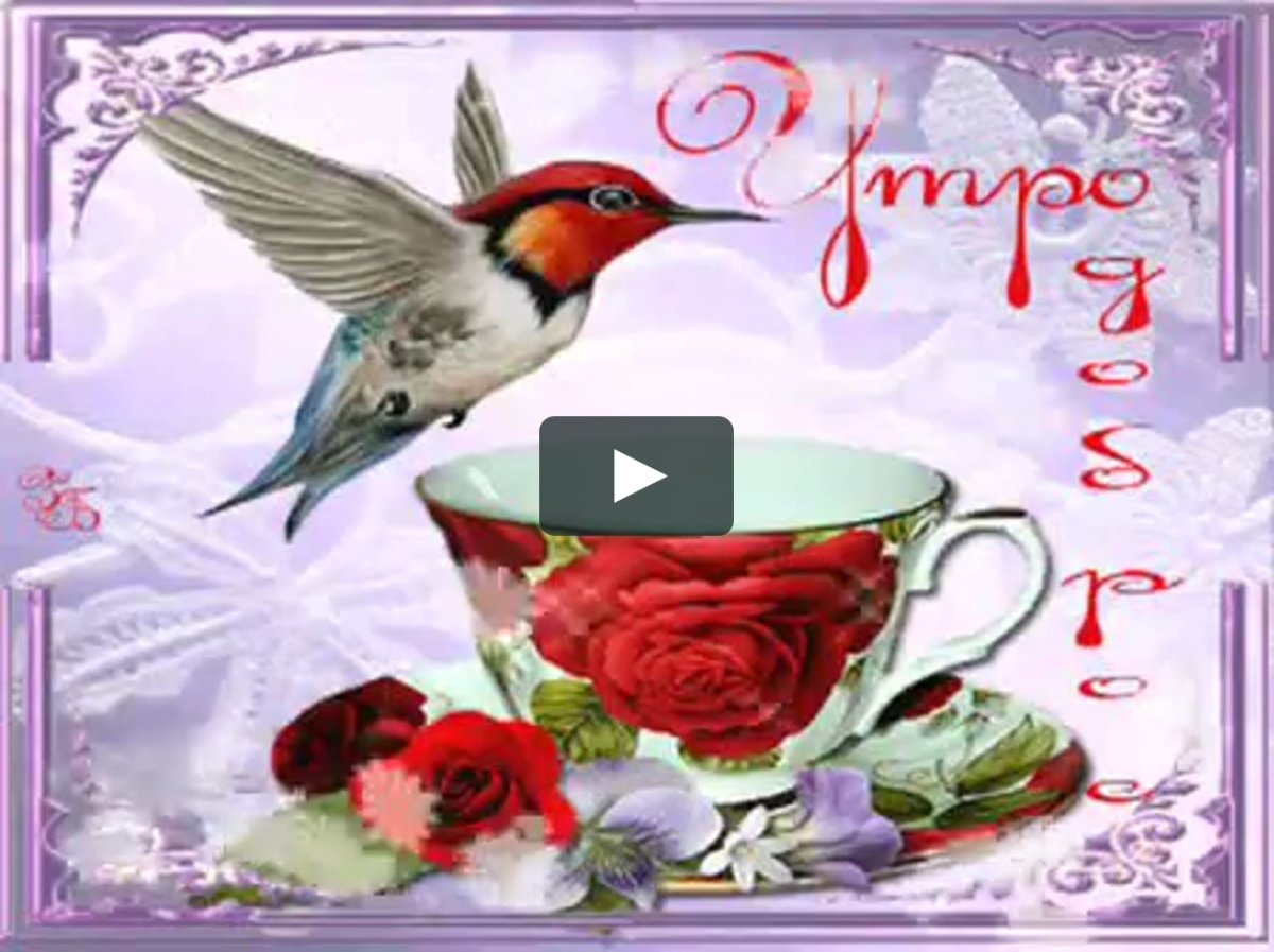 Араб на черном коне