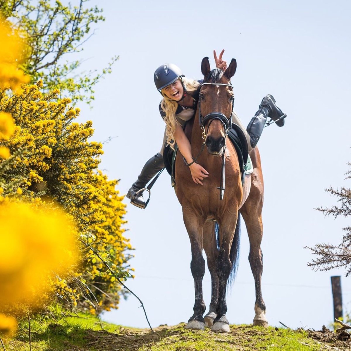 Девушка на черном коне