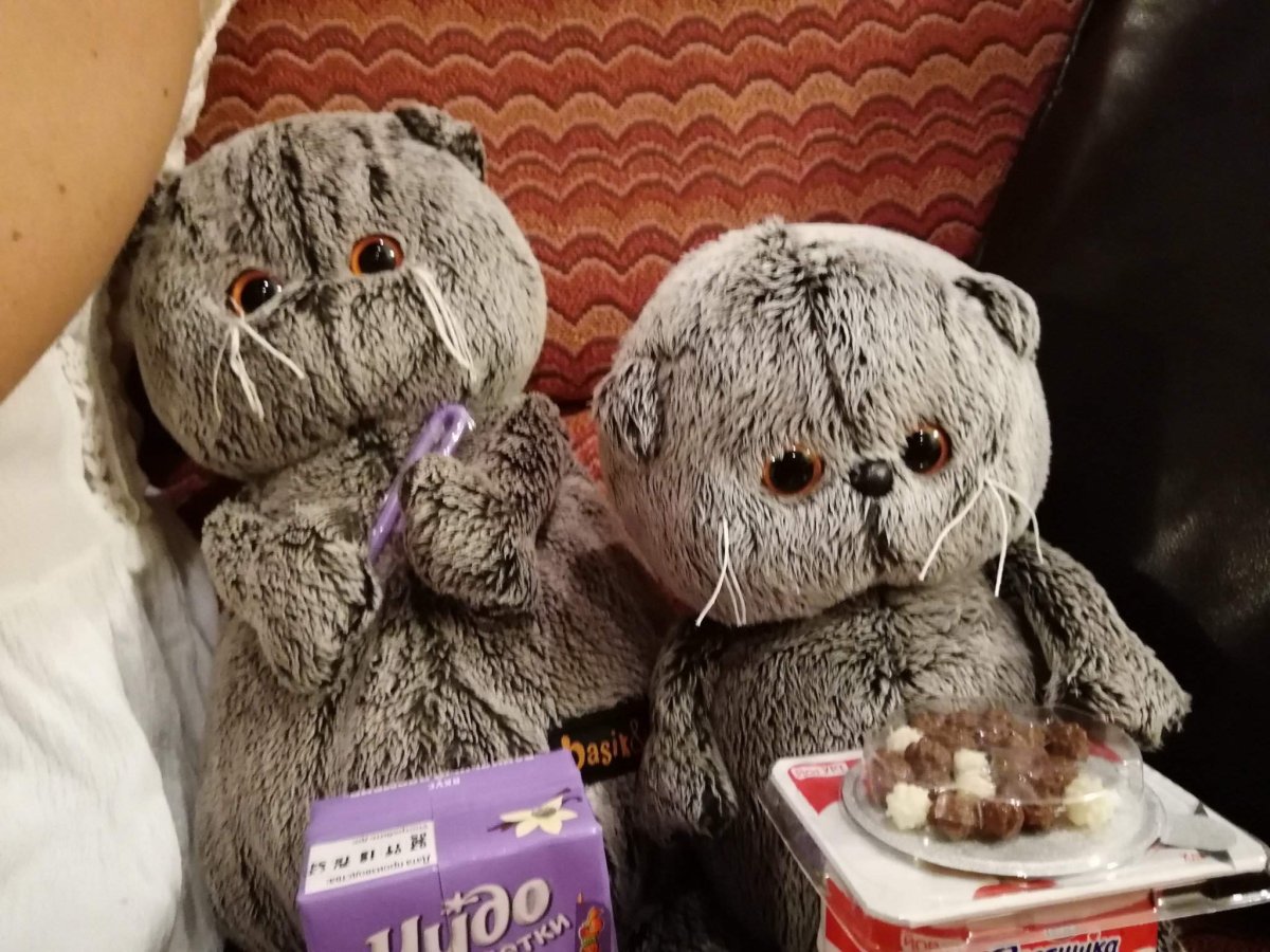 Буди баса Басик