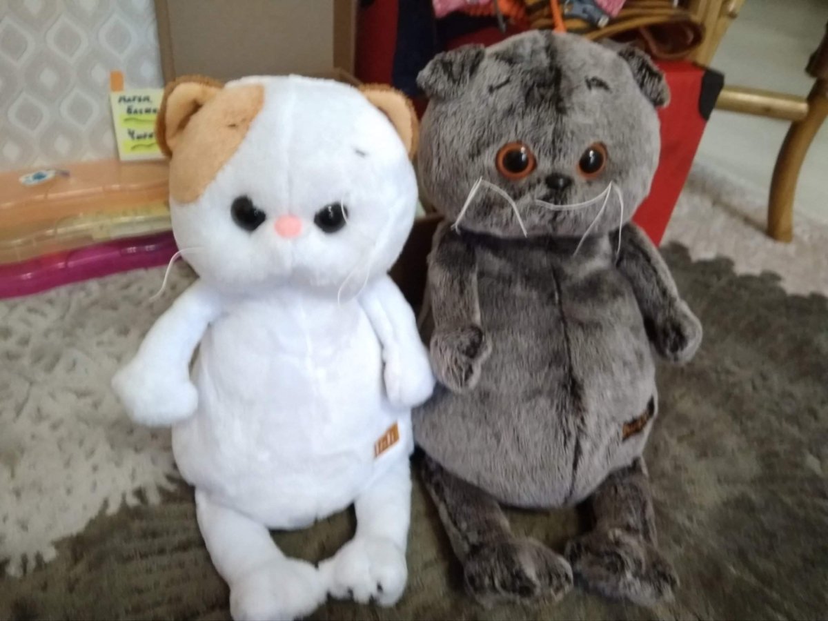 Басик Львенок