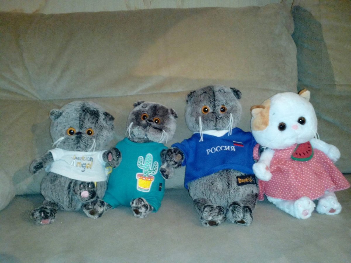 Рисунки для срисовывания Басик