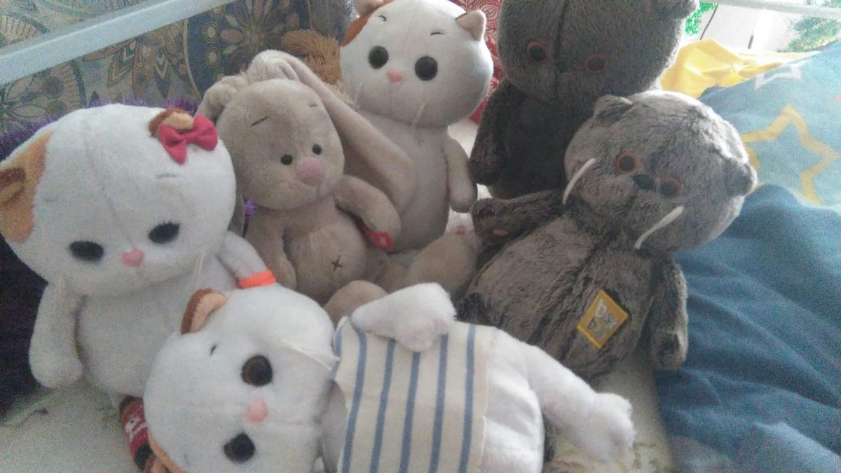 Ks25-097 Басик в спортивном костюме