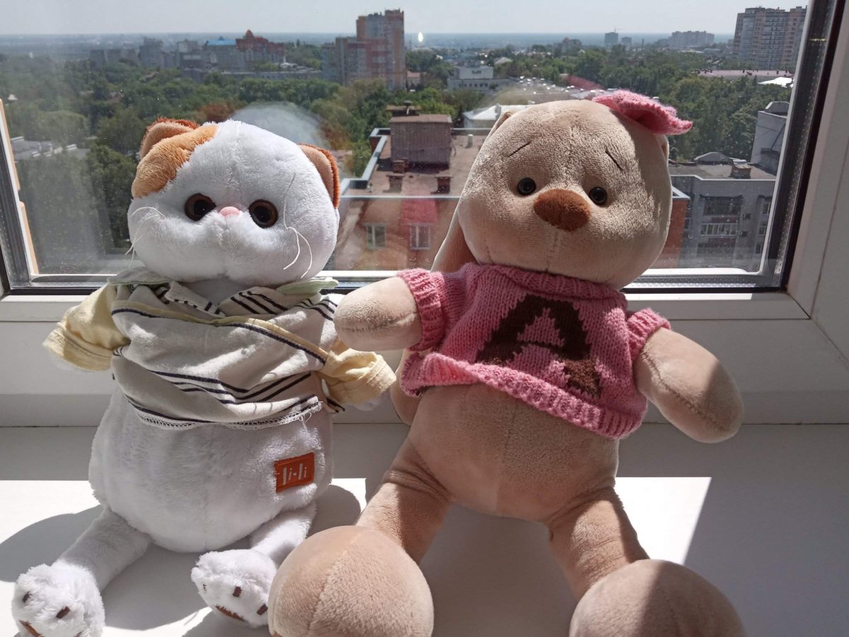 Покажи мне просто картинки с Басиками в Яндексе