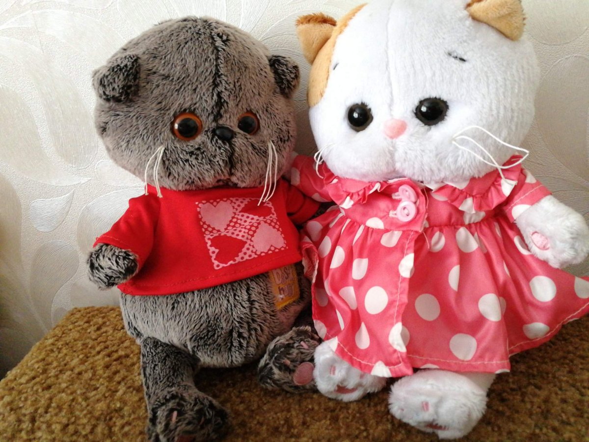 Кот Басик арт