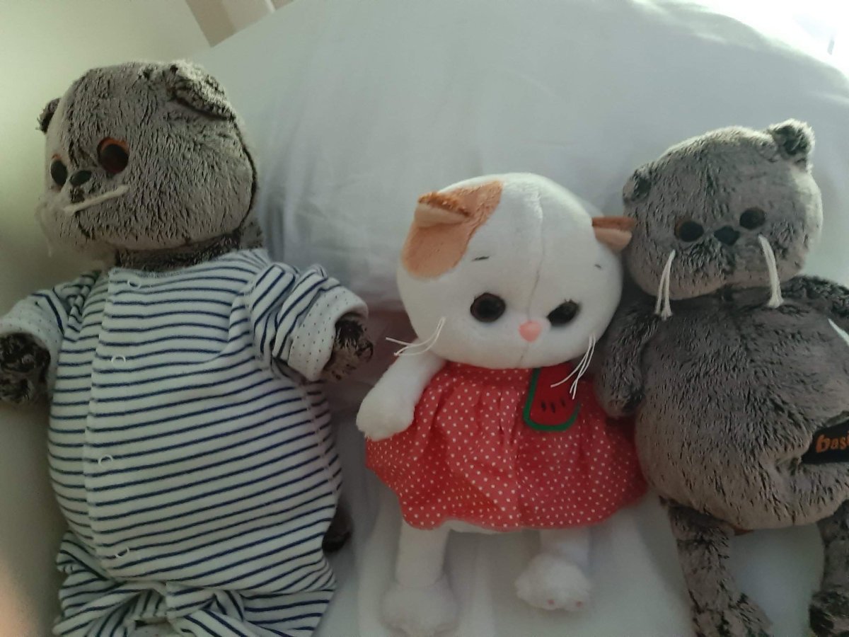 Басики картинки