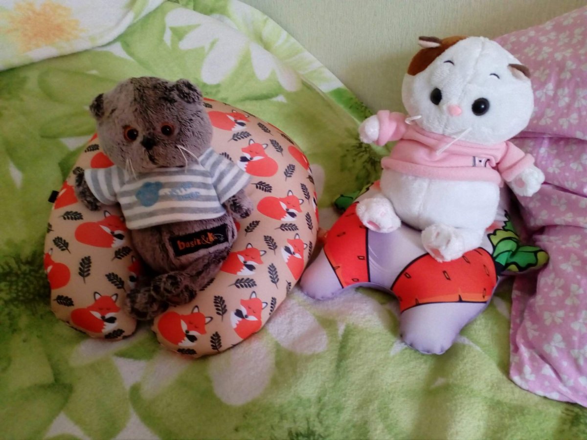 Тетрадь 18 листов, Хатбер - кот - Басик.