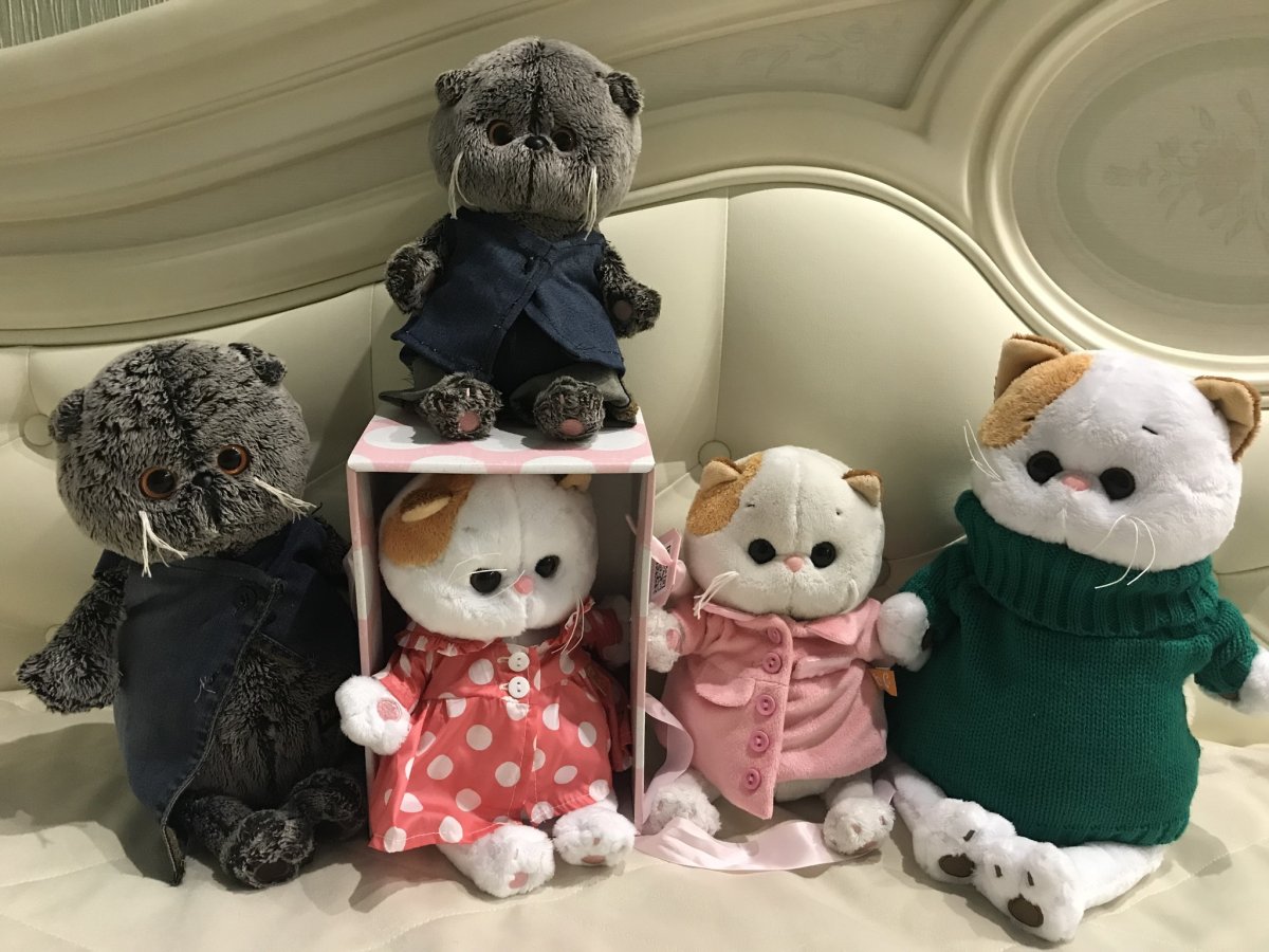 Кот Басик с коньками