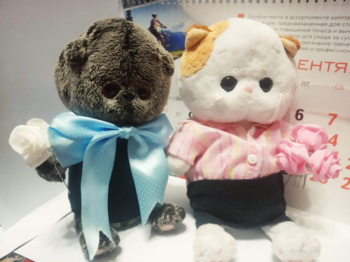 Магазин Зайка ми и кот Басик